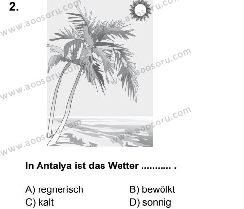 Almanca 5 Dersi 2014 - 2015 Yılı 2. Dönem Sınavı 2. Soru