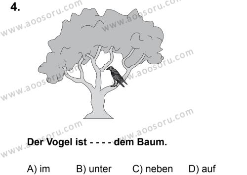 Almanca 5 Dersi 2015 - 2016 Yılı 3. Dönem Sınavı 4. Soru
