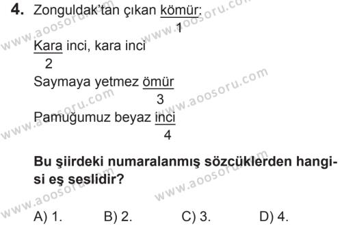 Türkçe 5 Dersi 2017 - 2018 Yılı 2. Dönem Sınavı 4. Soru