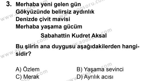 Türkçe 8 Dersi 2012 - 2013 Yılı 3. Dönem Sınavı 3. Soru